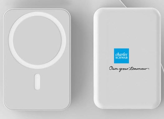 Schwab Power bank